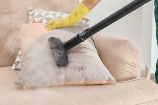 steam bed bug treatment bowmanville